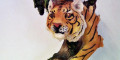 Снимка номер 1 за сувенир-тигри
