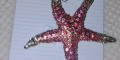 Снимка номер 2 за Брошка Морска звезда нова