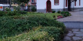 Снимка номер 3 за Озеленяване и Ландшафтен дизайн