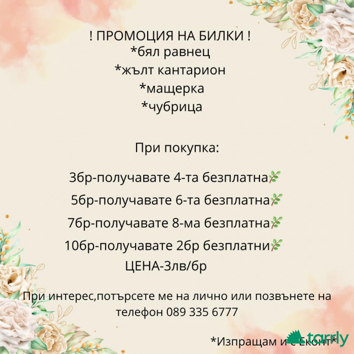 Снимка номер 1 за Билки от Родопите