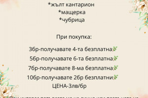 Снимка номер 1 за Билки от Родопите