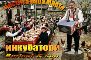 Снимка номер 1 за Инкубатори